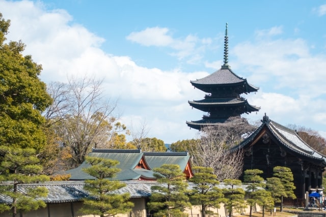 ちゃちゃ入れ】ホントの京都大調査SP「スイーツ編」豆餅・阿闍梨餅・京わらび餅 | グレンの旅＆グルメブログ